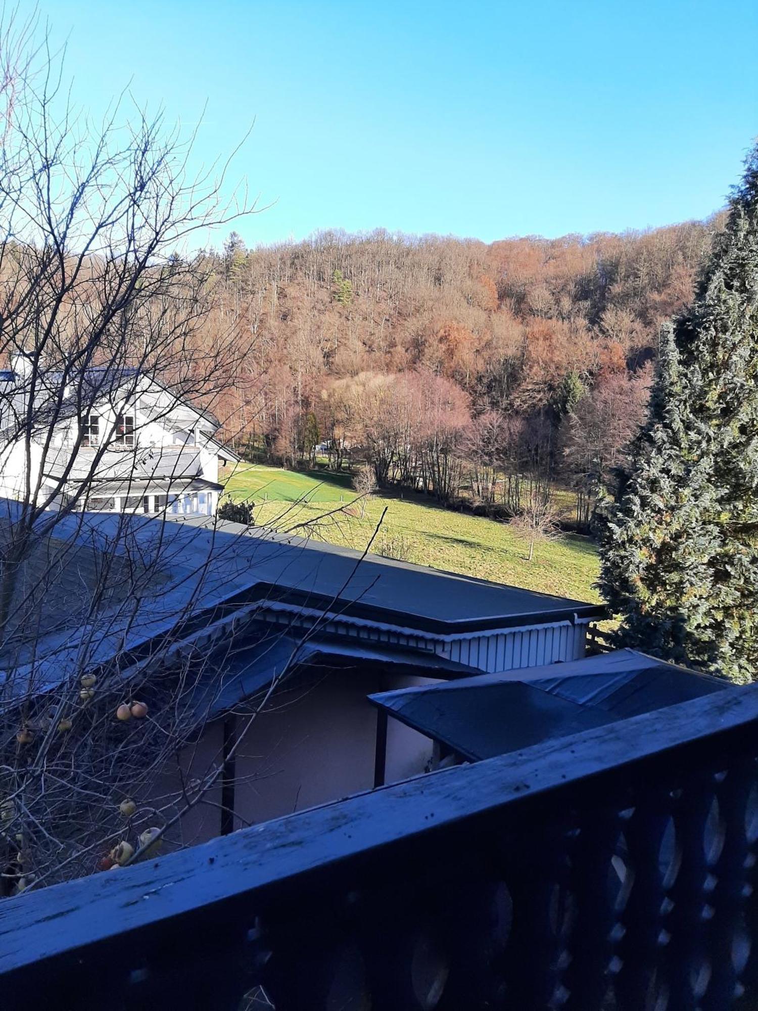 Ferienwohnung Bergblick Hallenberg Bagian luar foto